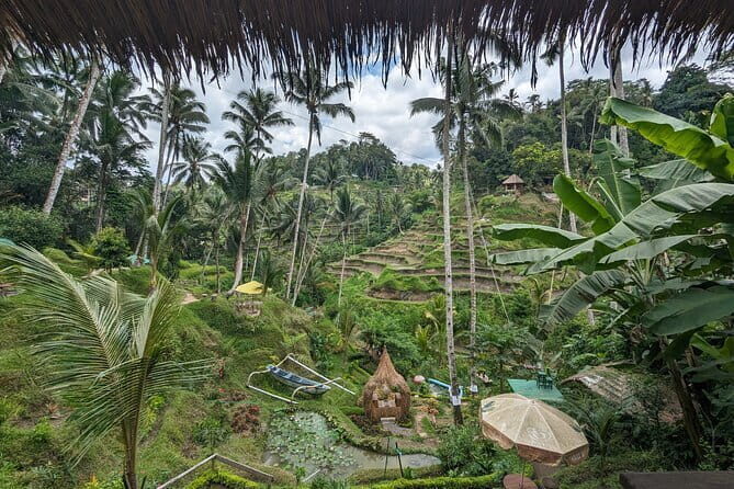 Explore Ubud Art Market, Monkey Forest and Rice Terraces - The Sum Up