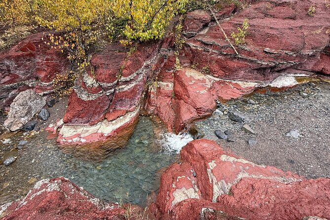 Explore Waterton National Park from Calgary Day Guided Tour - Authentic Experiences and Real Traveler Insights