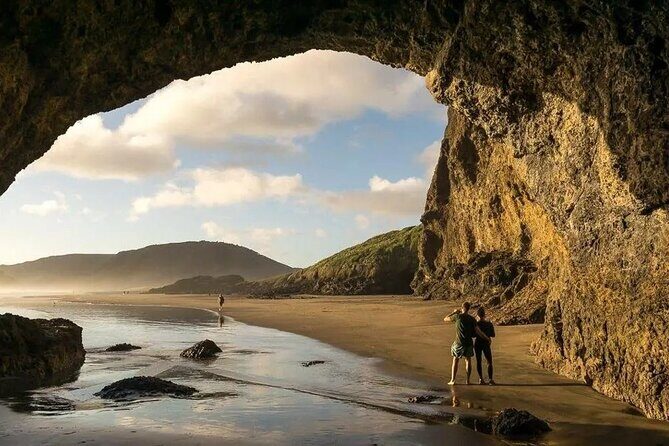 Explore West Auckland with Winery - Exploring West Auckland with Winery: A Full Review