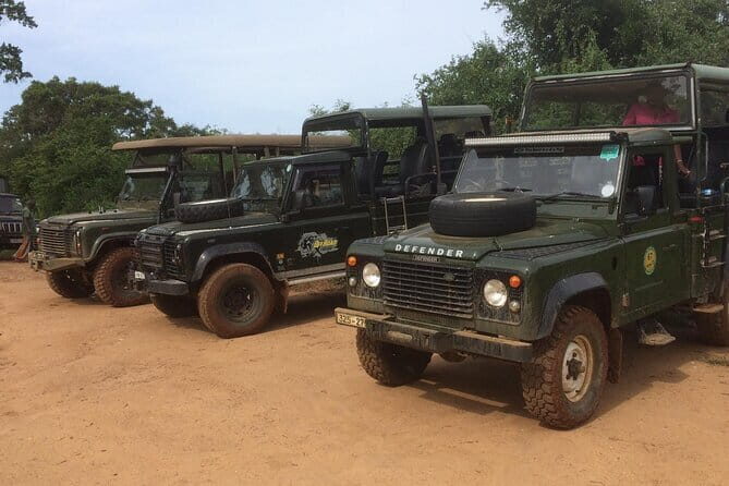 Explore Wild Wonders of Yala - Final Thoughts: Is It Worth It?