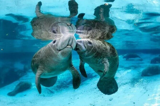 Explore Wildlife Sanctuaries on the WILD Palm Beaches Tour - Authentic Insights from Visitors
