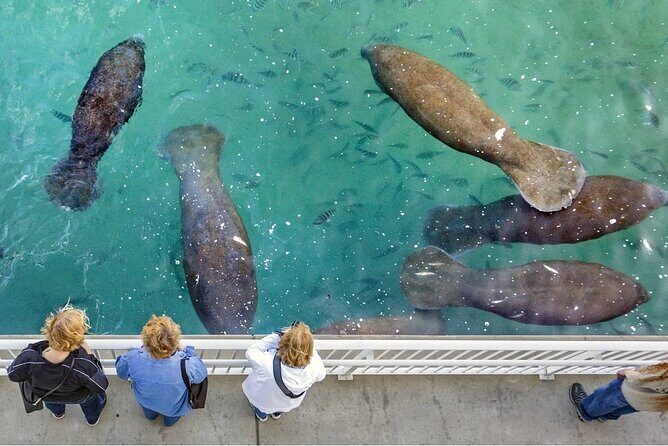 Explore Wildlife Sanctuaries on the WILD Palm Beaches Tour - Who Would Love This Tour?