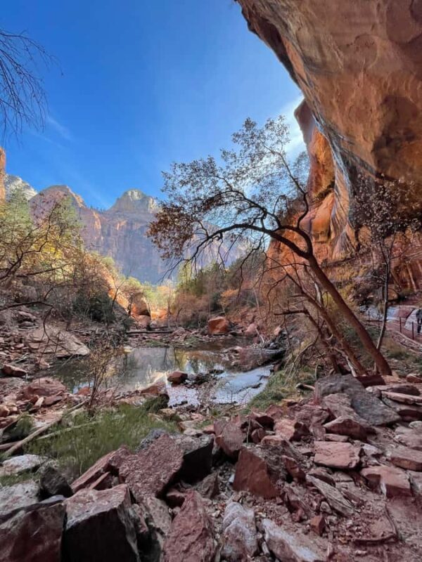 Explore Zion: Private Hiking Photography Tour from Las Vegas - Value and Cost