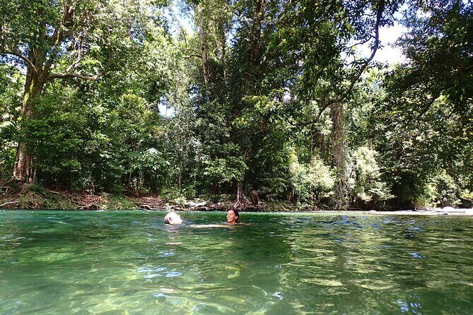Explorer Tour by Cairns Waterfalls - Setting the Scene: What’s This Tour All About?