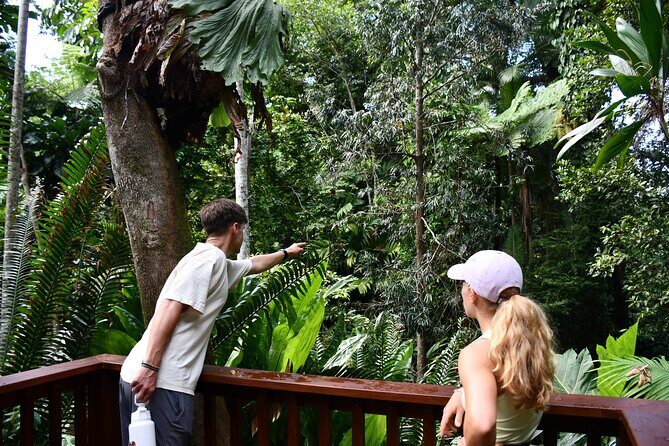 Explorer Tour by Cairns Waterfalls - What Could Be Better?