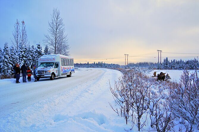 Exploring Anchorage on Winter Sundays - An In-Depth Look at the Tour Experience