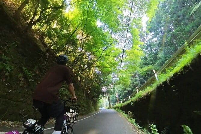 Exploring Arashiyama in a small group? E-bike tour is perfect! - What Travelers Say: Authentic Perspectives