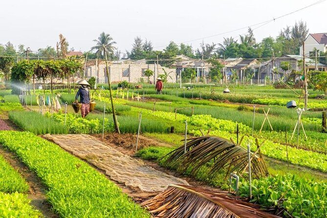 Exploring Biking and Eco tour with Cooking Class Tra Que Village - FAQ