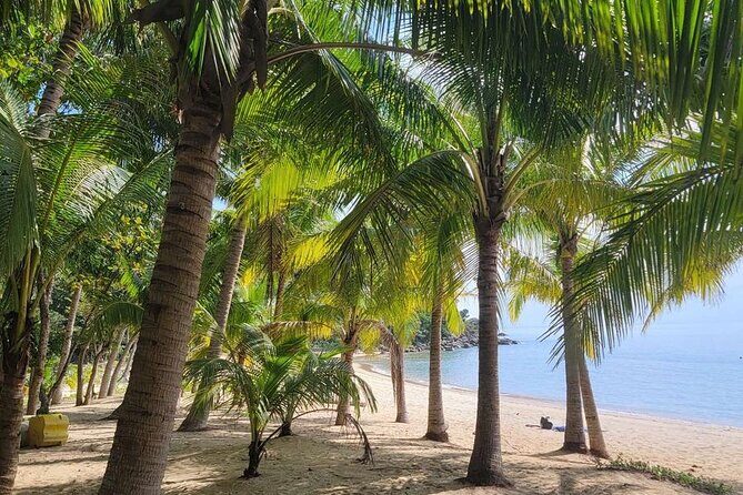 Exploring Cham Islands Day Tour by Speed Boat - Final Thoughts: Who Is This Tour Best For?