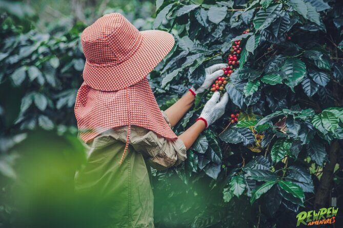 Exploring Dalat's Countryside Day Tour by Private Car - A Closer Look at the Itinerary