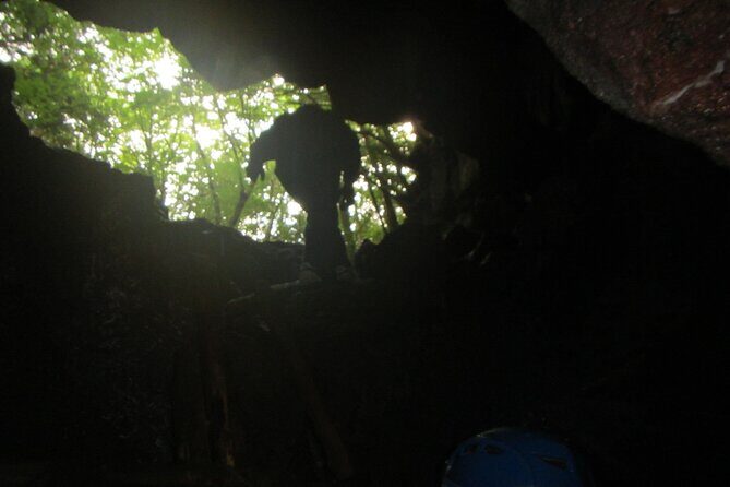 Exploring Mt Fuji Ice Cave and Sea of Trees Forest - Key Points