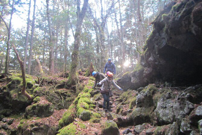Exploring Mt Fuji Ice Cave and Sea of Trees Forest - Why This Tour Stands Out