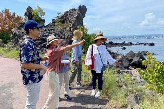 Exploring Sakurajima's History Half Day Walking Tour in Kagoshima - Who Is This Tour Best For?
