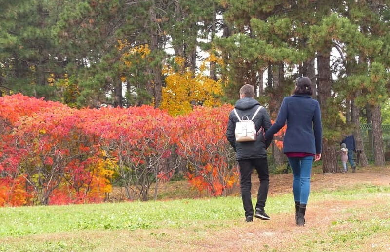 Exploring Sofias Garden Wonders - Why This Tour Stands Out