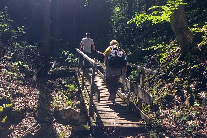 Exploring the Gutenstein Alps - Practical Tips for Booking and Participation