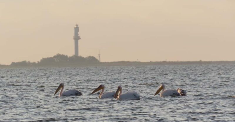 Exploring the Magic of the Danube Delta through photo lenses - Key Points