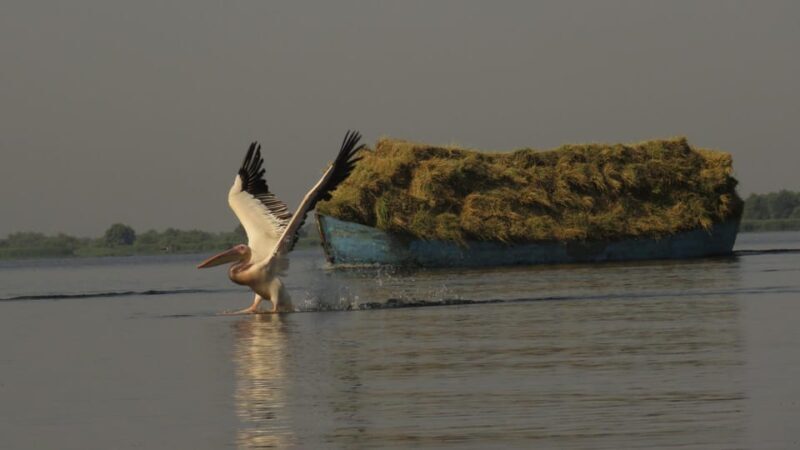 Exploring the Magic of the Danube Delta through photo lenses - The Sum Up
