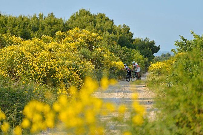 Exploring Vodice on Two Wheels - Introduction to Exploring Vodice on Two Wheels
