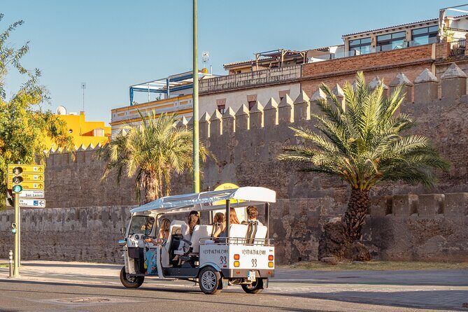 Express Tour of Seville in Private Eco Tuk Tuk - What You Can Expect from the Experience