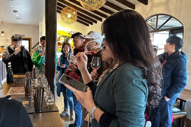 'Express' Wine Tour & Mori Culture Wnaka - Who Is This Tour Best For?