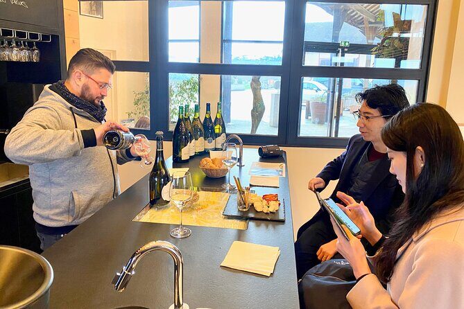 Exquisite Wines Tasting Chateau Pommard, Chablis Small-Group Trip - A Deep Dive into the Burgundy Day Trip