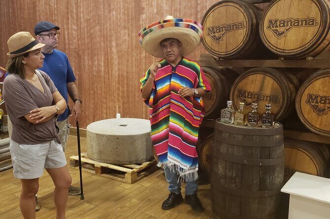 Extraordinary Cancun Van City Tour - Included Transportation - A Practical Introduction to Cancún’s Heart and Soul