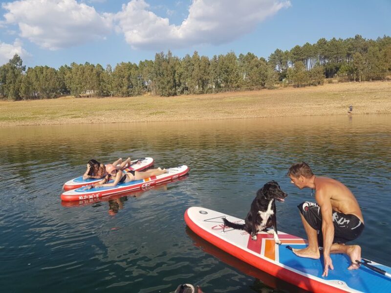 Extremadura: Paddle Surf Guided Tour on Valdecañas Reservoir - An Authentic Aquatic Experience in Extremadura