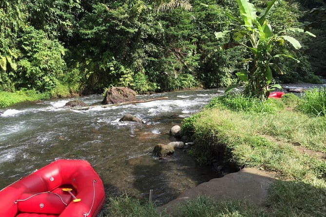 Extreme Adventure Bali - Jungle ATV, River Rafting and Sacred Monkey Forest - An In-Depth Look at the Itinerary and What You Can Expect