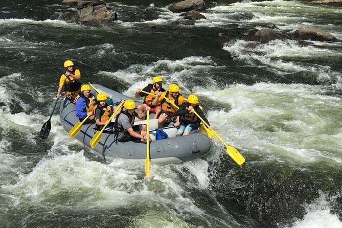 Extreme Class V Whitewater Rafting on the Gauley River WV (Fall Only) - Who Should Book This Tour?
