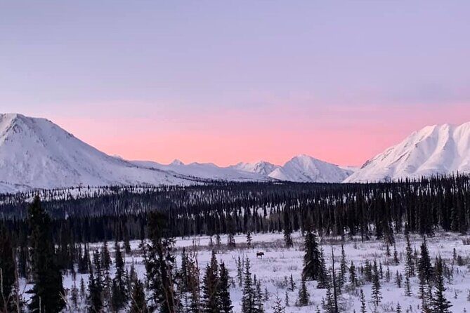 Extreme Cold Clothing Pkg - (Parka Snowpant Bibs Boots) No Tour - What to Expect from the Rental Experience