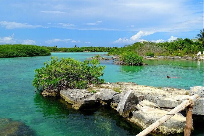 Extreme Day. Rappel, Ziplines & Snorkel with from Riviera Maya - Authentic Experiences & Hidden Gems