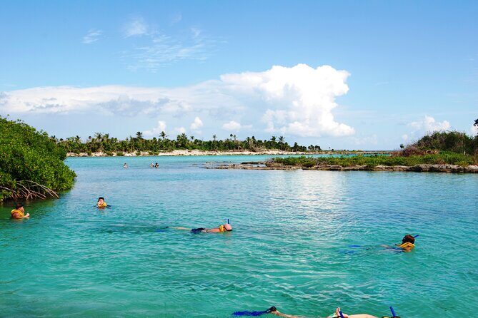 Extreme Day. Rappel, Ziplines & Snorkel with from Riviera Maya - Who Will Love This Tour?