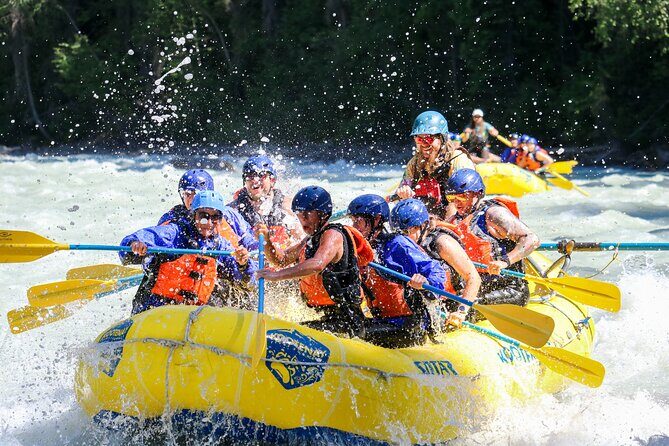 Extreme Whitewater Rafting on Kicking Horse River - Who Would Enjoy This Tour?