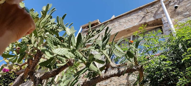 Èze: Walking Tour with a Certified Local Guide - FAQs