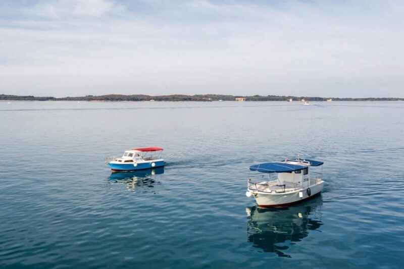 FAANA: Brijuni boat trip+stop & Swim at St. Jerolim Island - Key Points