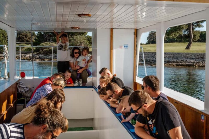 FAANA: DOLPHIN SAFARI - FAQs