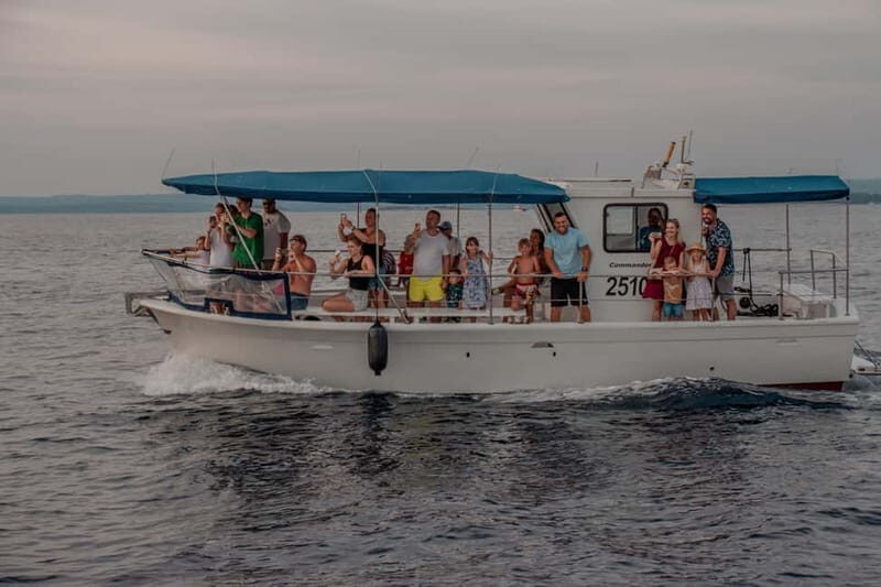 Faana: Dolphin & Sunset - Key Points