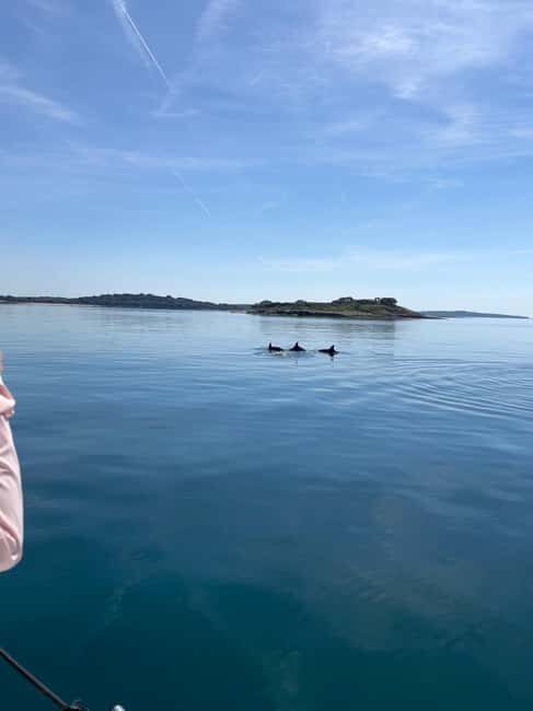 Faana: Dolphin & Sunset - What To Expect on the Dolphin & Sunset Tour