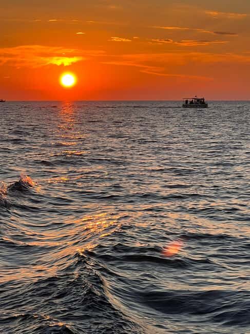 Faana: Dolphin & Sunset - Authentic Experiences & Guest Insights