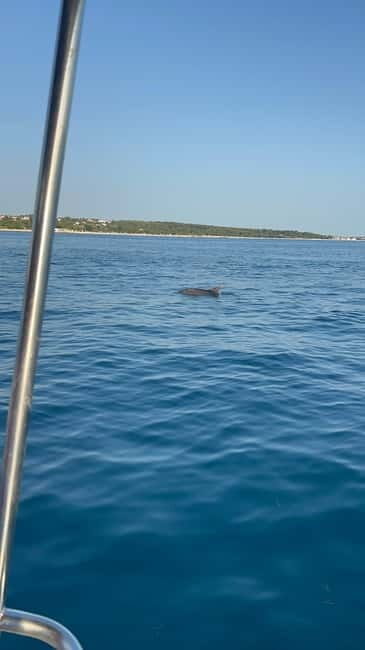 Faana: Dolphin & Sunset - Who Should Consider This Tour?