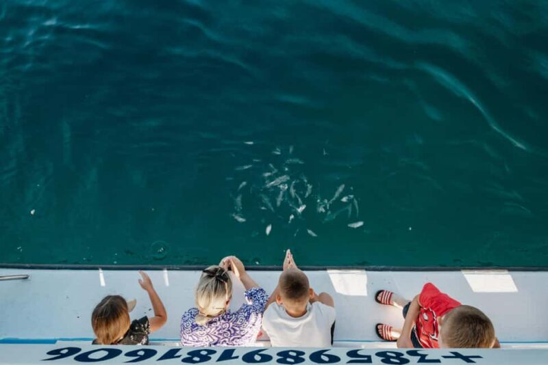 Faana: Glass Boat Tour of Brijuni National Park - The Itinerary in Detail: What You Can Expect