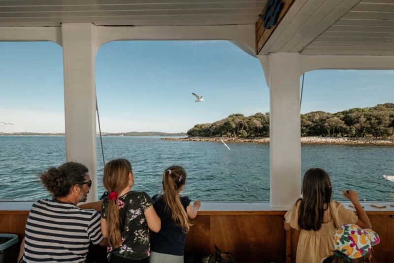 Faana: Glass Boat Tour of Brijuni National Park - Practical Considerations: Is It Worth It?