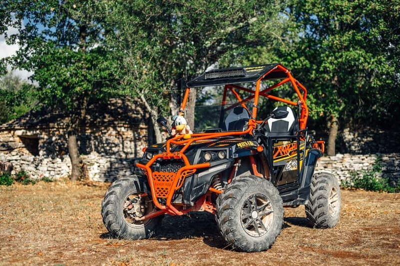 Faana: Guided Buggy Tour in the Heart of Istria - Key Points