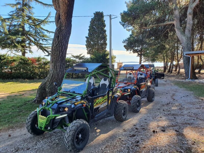 Faana: Guided Buggy Tour in the Heart of Istria - The Sum Up