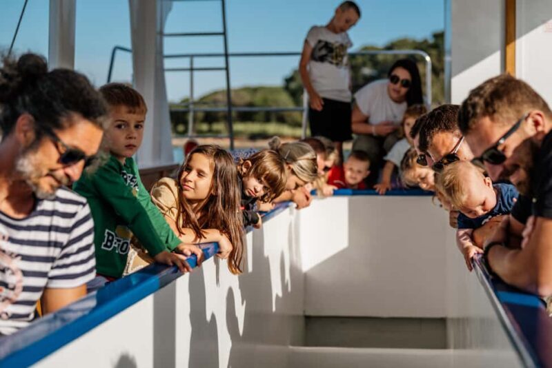 FAANA: PANORAMA NP BRIJUNI AND ISLAND SWIMMING STOP - An Honest Look at the FAANA Panorama NP Brijuni Tour