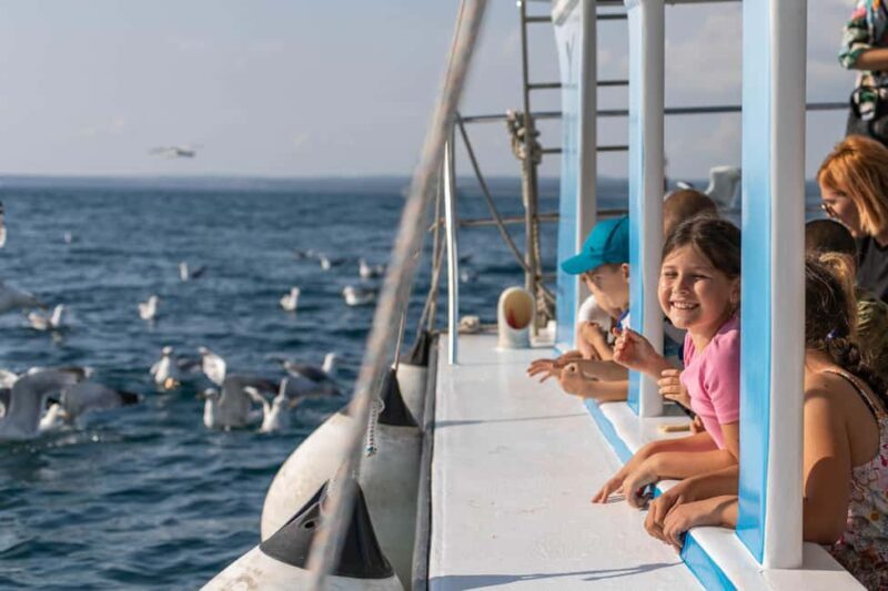 FAANA: PANORAMA NP BRIJUNI AND ISLAND SWIMMING STOP - Who Will Love This Tour?