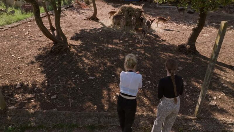 Faana/Pula: Official Istra Buggy "Classico" Tour - FAQ: Practical Questions About the Istra Buggy "Classico" Tour