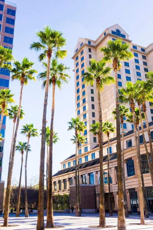 Fabulous City walking tour of San Jose - Fabulous City Walking Tour of San Jose