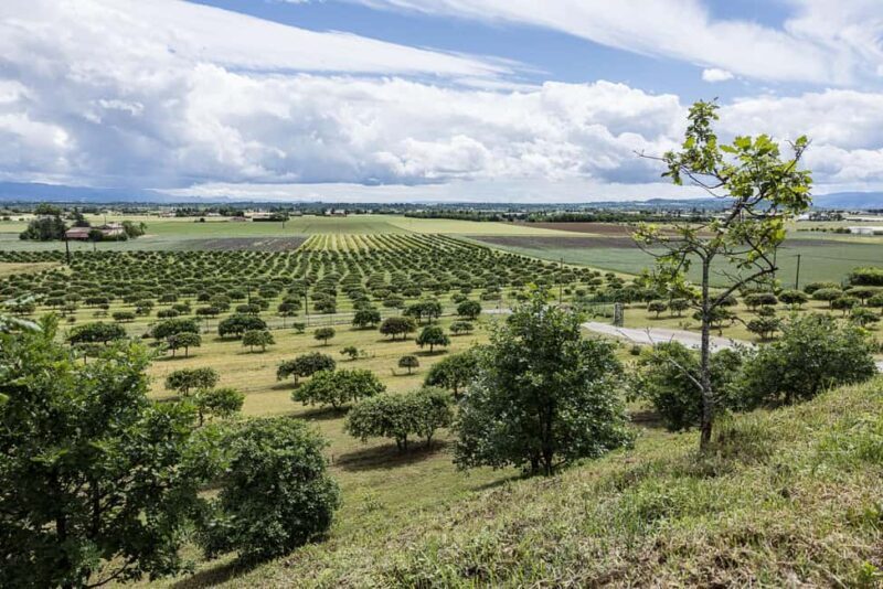 Facial treatment in the heart of the truffle fields - FAQ