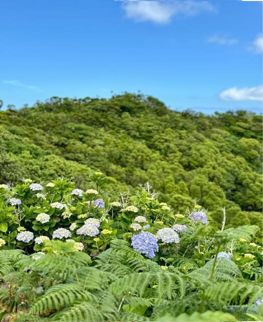 Faial Island: Caldeira Perimeter Hiking Tour PR04 - FAQs